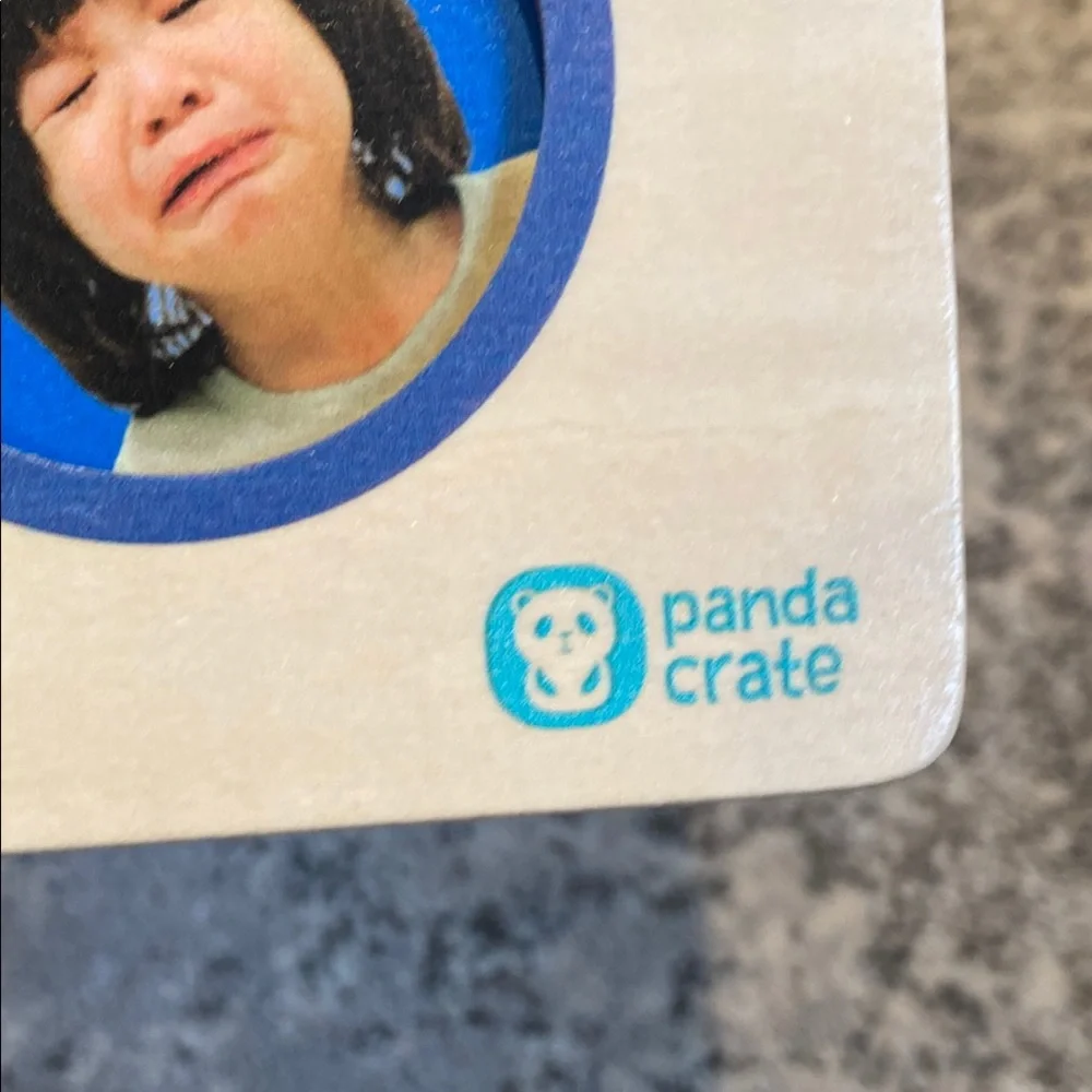 KiwiCo Panda Crate Feelings Activity